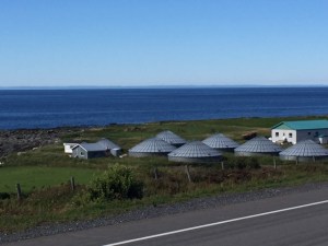 Pisciculture de truites